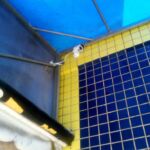 Pizzaria Familia Avenida Maria Cavalcante Da Silva 292 Jardim Samambaia Praia Grande Sp 04