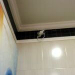 Pizzaria Familia Avenida Maria Cavalcante Da Silva 292 Jardim Samambaia Praia Grande Sp 06