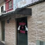 Rua Alexandre Martins, 229 - Mimo Pets - Petshop - Aparecida - Santos SP