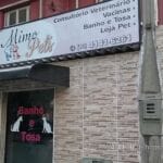 Rua Alexandre Martins, 229 - Mimo Pets - Petshop - Aparecida - Santos SP