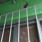 Rua do Conhecimento, 10.241 - Perfumaria Gileade - Jardim Melvi - Praia Grande SP