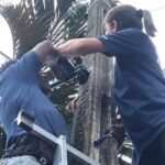 Avenida Dom Pedro 1 Agenor De Campos Mongagua Sp