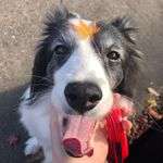 Cliente Japao Livia Takano Instalacao Avenida Presidente Castelo Branco Cidade Ocian Praia Grande Sp Litoral Paulista Andre Iuji