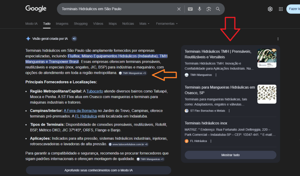 Andre Iuji Consultoria Seo Resultado Real Cliente Sao Paulo 12032026